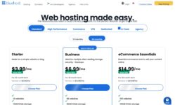 Bluehost - planos e precos reais (Starter, Business, eCommerce)
