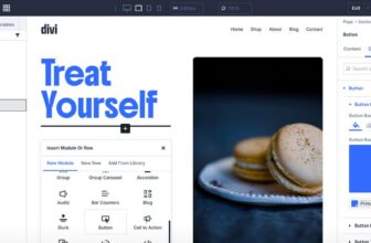 review elegant themes divi