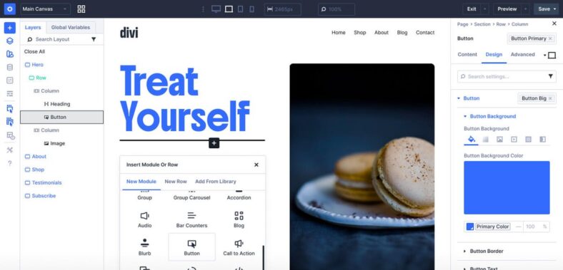 review elegant themes divi