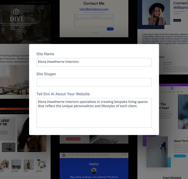 Elegant Themes (Divi) - imagem 1