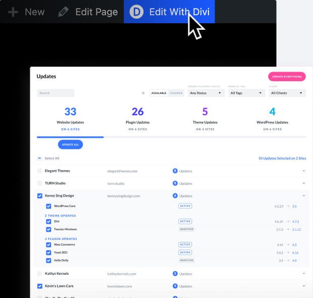 Elegant Themes (Divi) - imagem 3