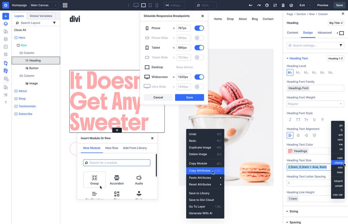 Elegant Themes (Divi) - imagem 4